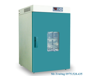 Tủ sấy Fengling 70 lít 250°C DHG-9070A