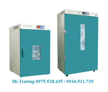 Tủ sấy Fengling 35 lít 250°C DHG-9030A